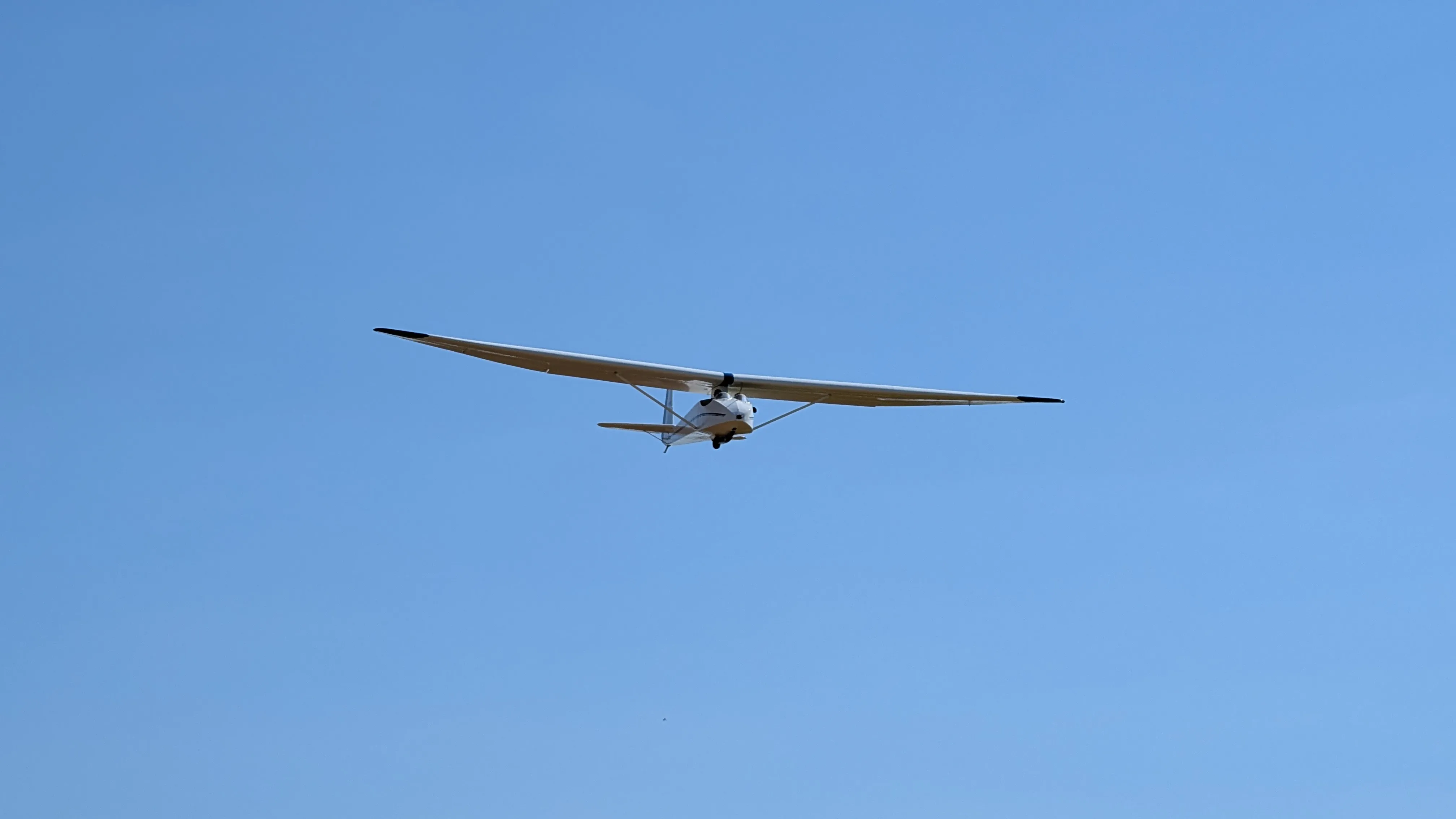 VGC 2025 Impression 8